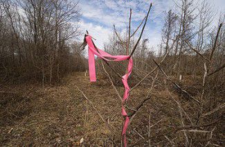 Solar facility planned for Southern MD forest comes under fire